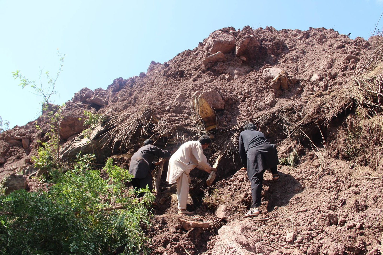 Social Service Photo